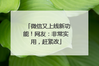 微信又上线新功能！网友：非常实用，赶紧改