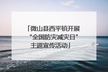 微山县西平镇开展“全国防灾减灾日”主题宣传活动