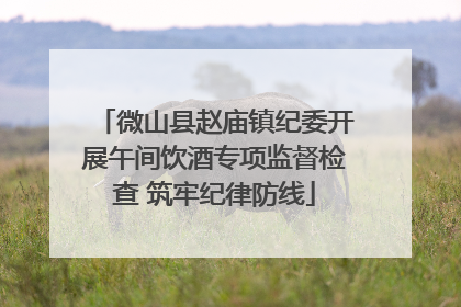 微山县赵庙镇纪委开展午间饮酒专项监督检查 筑牢纪律防线