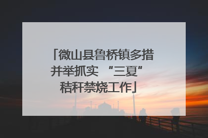 微山县鲁桥镇多措并举抓实 “三夏” 秸秆禁烧工作