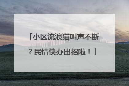 小区流浪猫叫声不断？民情快办出招啦！