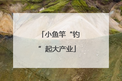 小鱼竿“钓”起大产业