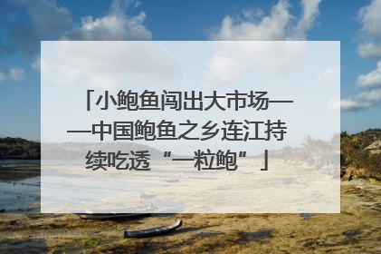 小鲍鱼闯出大市场——中国鲍鱼之乡连江持续吃透“一粒鲍”