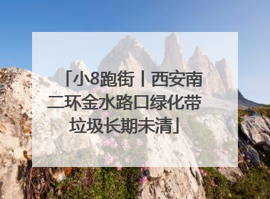 小8跑街丨西安南二环金水路口绿化带垃圾长期未清