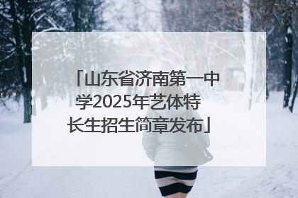 山东省济南第一中学2025年艺体特长生招生简章发布