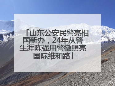 山东公安民警亮相国新办，24年从警生涯陈强用警徽照亮国际维和路