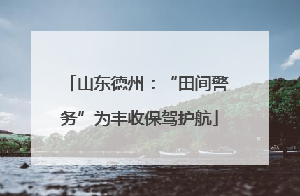 山东德州：“田间警务”为丰收保驾护航