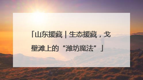 山东援藏｜生态援藏，戈壁滩上的“潍坊魔法”