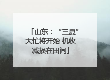 山东：“三夏”大忙将开始 机收减损在田间