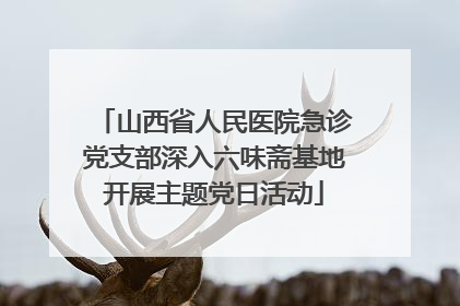 山西省人民医院急诊党支部深入六味斋基地开展主题党日活动
