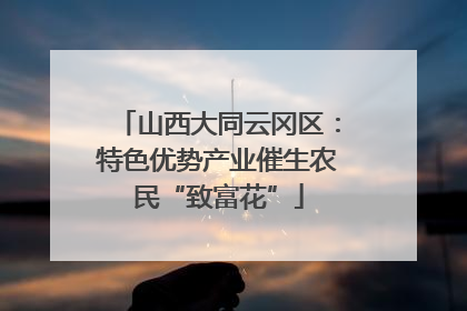 山西大同云冈区：特色优势产业催生农民“致富花”