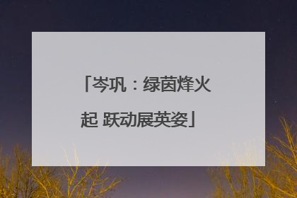 岑巩：绿茵烽火起 跃动展英姿