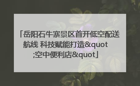 岳阳石牛寨景区首开低空配送航线 科技赋能打造"空中便利店"