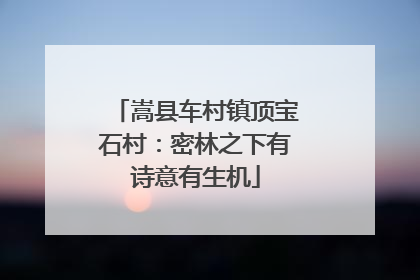 嵩县车村镇顶宝石村：密林之下有诗意有生机