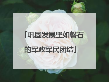 巩固发展坚如磐石的军政军民团结