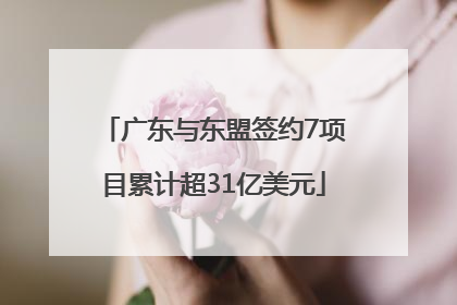 广东与东盟签约7项目累计超31亿美元