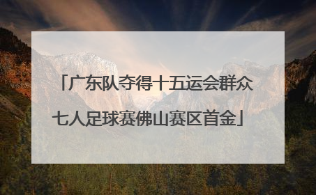 广东队夺得十五运会群众七人足球赛佛山赛区首金