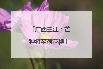 广西三江：芒种将至荷花艳