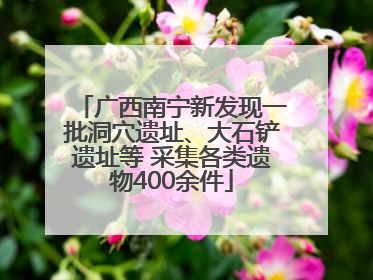 广西南宁新发现一批洞穴遗址、大石铲遗址等 采集各类遗物400余件