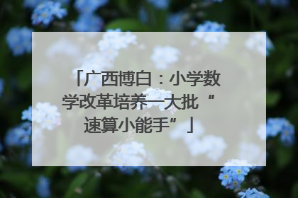 广西博白：小学数学改革培养一大批“速算小能手”