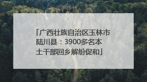 广西壮族自治区玉林市陆川县：3900多名本土干部回乡解纷促和