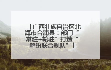 广西壮族自治区北海市合浦县：部门“常驻+轮驻”打造“解纷联合舰队”