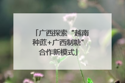 广西探索“越南种蔗+广西制糖”合作新模式