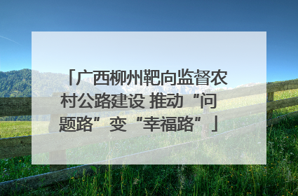 广西柳州靶向监督农村公路建设 推动“问题路”变“幸福路”