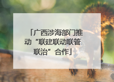 广西涉海部门推动“联建联动联管联治”合作