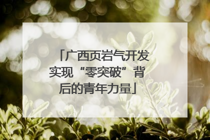 广西页岩气开发实现“零突破”背后的青年力量