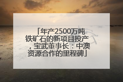 年产2500万吨铁矿石的新项目投产，宝武董事长：中澳资源合作的里程碑
