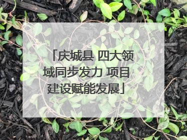 庆城县 四大领域同步发力 项目建设赋能发展