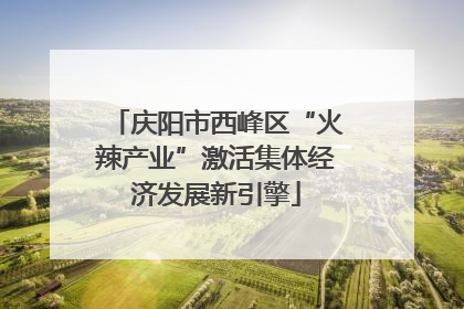 庆阳市西峰区“火辣产业”激活集体经济发展新引擎
