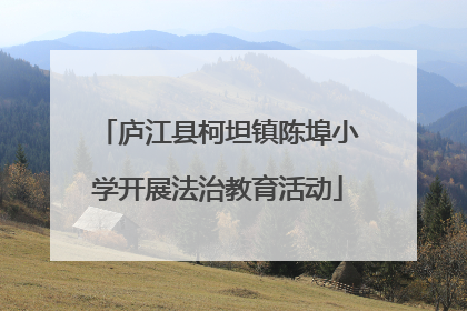 庐江县柯坦镇陈埠小学开展法治教育活动
