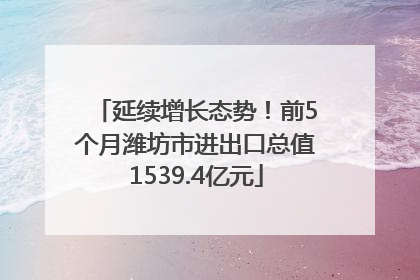 延续增长态势！前5个月潍坊市进出口总值1539.4亿元