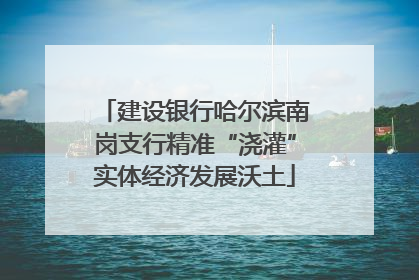 建设银行哈尔滨南岗支行精准“浇灌”实体经济发展沃土