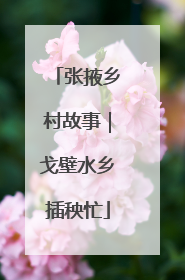 张掖乡村故事｜戈壁水乡插秧忙