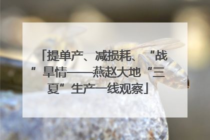 提单产、减损耗、“战”旱情——燕赵大地“三夏”生产一线观察