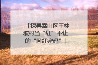 探寻泰山区王林坡村当“红”不让的“网红密码”