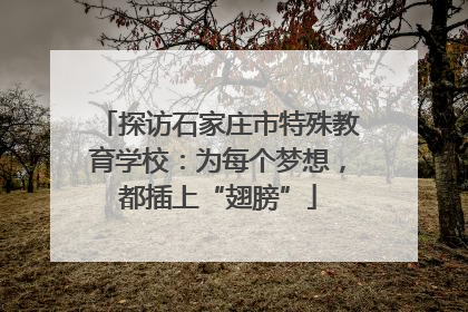 探访石家庄市特殊教育学校：为每个梦想，都插上“翅膀”
