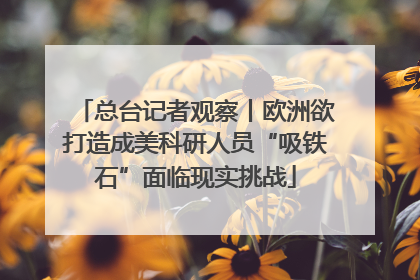 总台记者观察丨欧洲欲打造成美科研人员“吸铁石”面临现实挑战