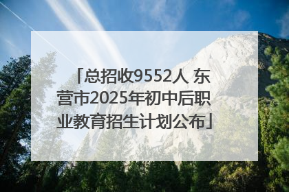 总招收9552人 东营市2025年初中后职业教育招生计划公布