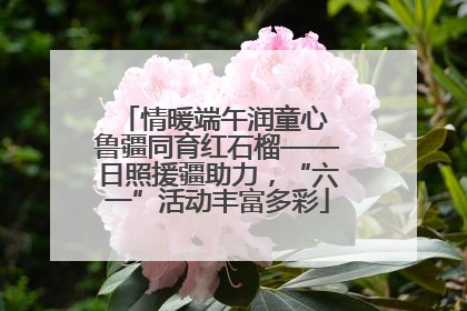 情暖端午润童心 鲁疆同育红石榴——日照援疆助力，“六一”活动丰富多彩