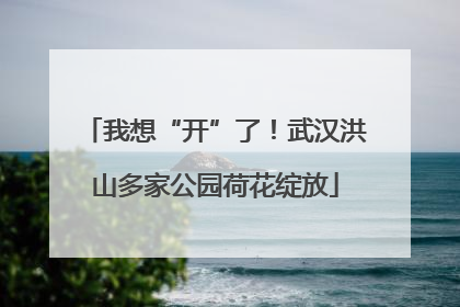 我想“开”了！武汉洪山多家公园荷花绽放