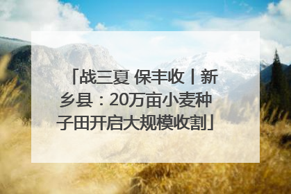 战三夏 保丰收丨新乡县：20万亩小麦种子田开启大规模收割