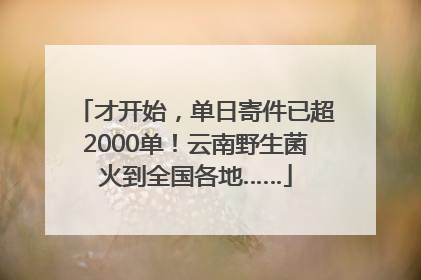 才开始，单日寄件已超2000单！云南野生菌火到全国各地……