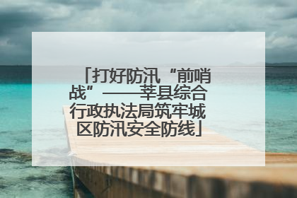 打好防汛“前哨战”——莘县综合行政执法局筑牢城区防汛安全防线