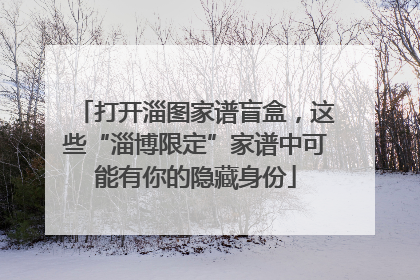 打开淄图家谱盲盒，这些“淄博限定”家谱中可能有你的隐藏身份