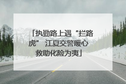 执勤路上遇“拦路虎” 江夏交警暖心救助化险为夷