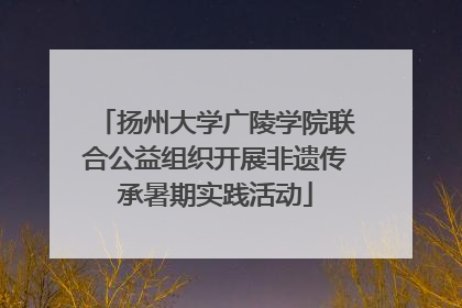 扬州大学广陵学院联合公益组织开展非遗传承暑期实践活动